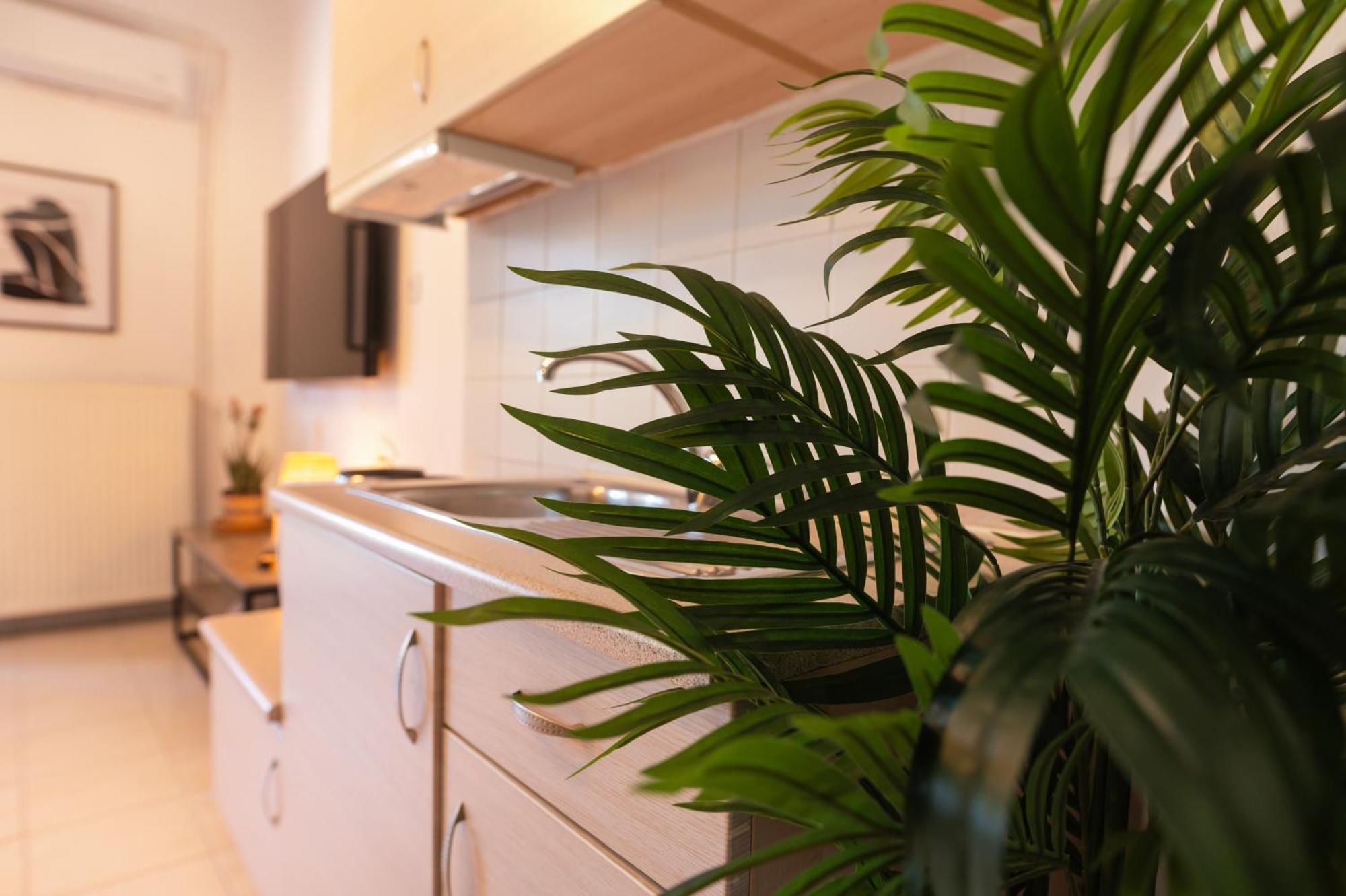Gardens Of Babylon Suite By Heaven'S Hall Luxury Suites Alexandrupoli Exteriér fotografie